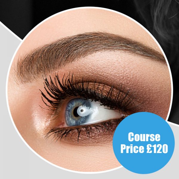 3D Brows Course by EMD Beauty