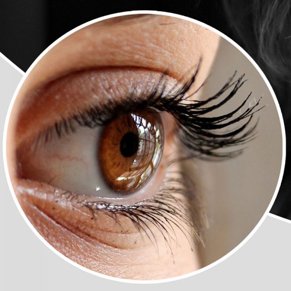 Lash Lift Course by EMD Beauty